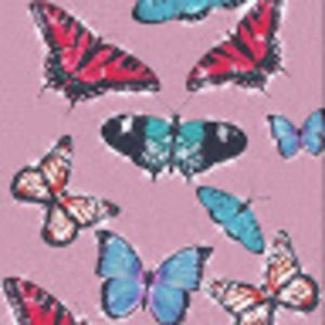 Meet your Posher, Delaney